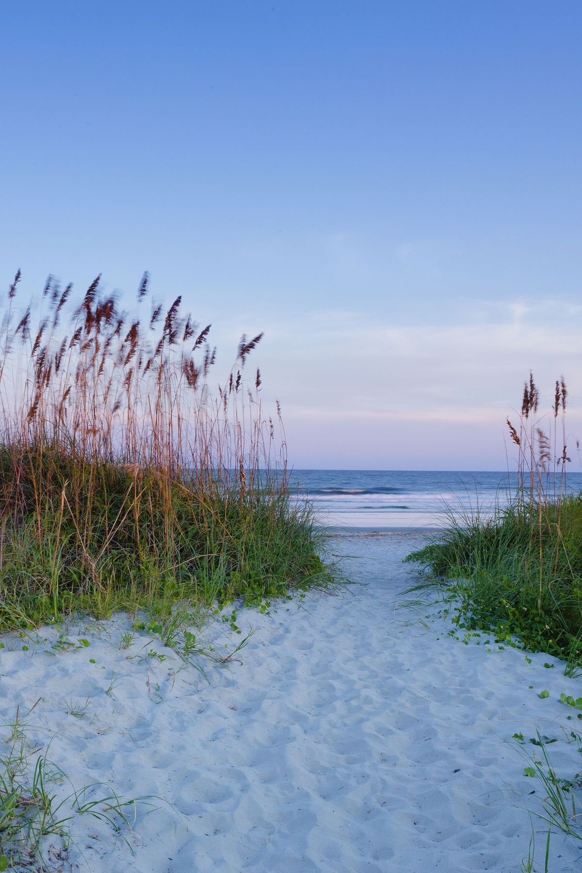 Sullivan's Island Beach